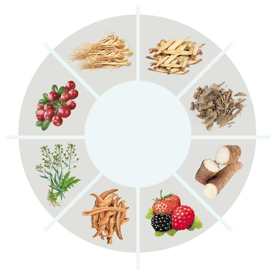 Prime Age ingredient circle with formula bottles